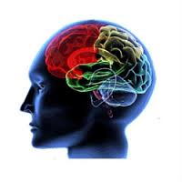Ma túy đá có làm mất trí nhớ không?